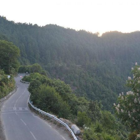 Hotel Crystal Palace Dhanaulti Exterior photo